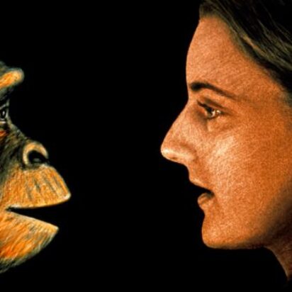 El ser humano fue creado con la mejor conformación, ¡y según el texto religioso puede volver a ser un simio ahuyentado y estar en lo más bajo de los bajos!