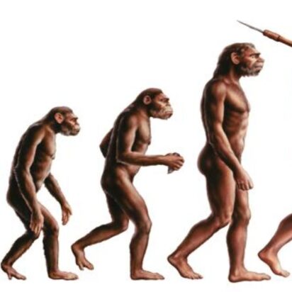 ¡¿El origen del ser humano un simio?!