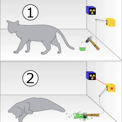 El gato de Schrödinger y la influencia del observador sobre el sistema