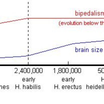 La generación del mecanismo ideal de supervivencia o mecanismo de inteligencia