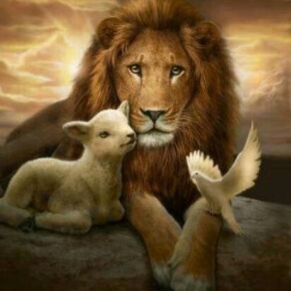 El león y el cordero en la visión de Juan… ¿quién es?