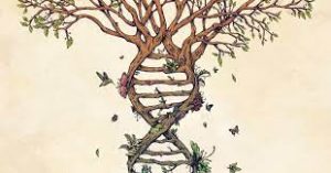 Lee más sobre el artículo La ley del lenguaje genético