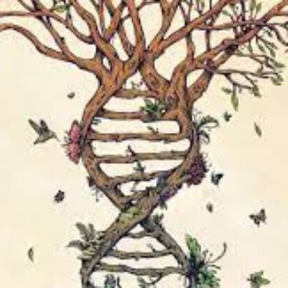 La ley del lenguaje genético