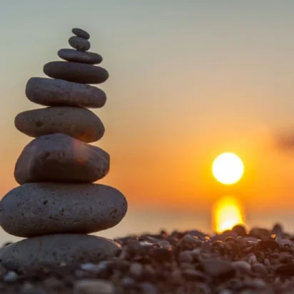 Resultados de la evolución y el propósito