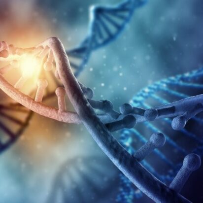 La combinación de variabilidad, selección natural y herencia producen inevitablemente evolución