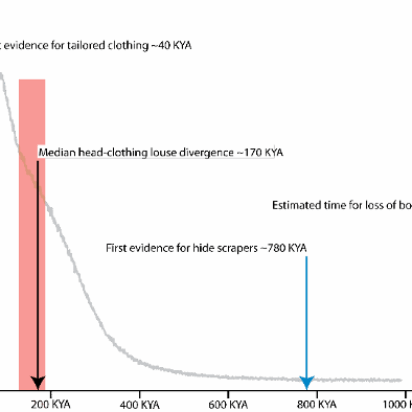 La evolución y la familia estable