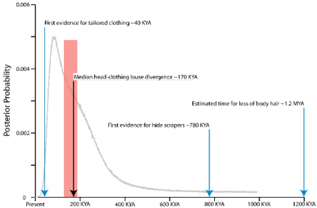 La evolución y la familia estable
