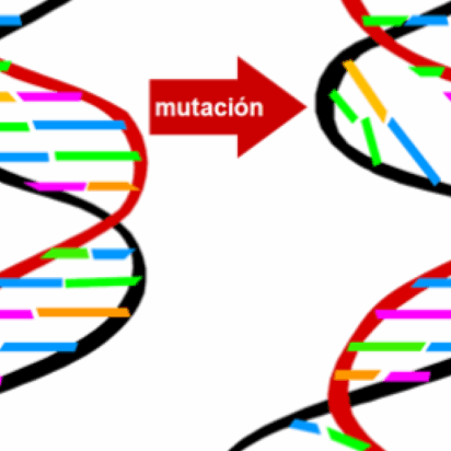 ¿Es la mutación genética cien por ciento aleatoria?
