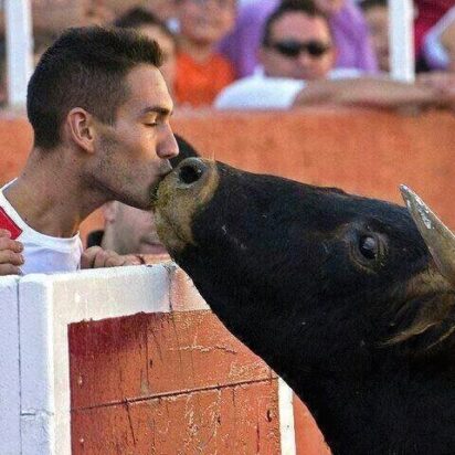 Cuando el pastor abandona a su rebaño