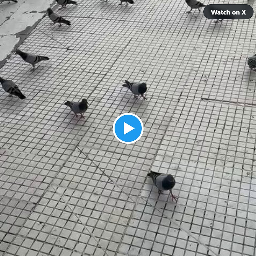 La casa bendita ocultada bajo la tierra